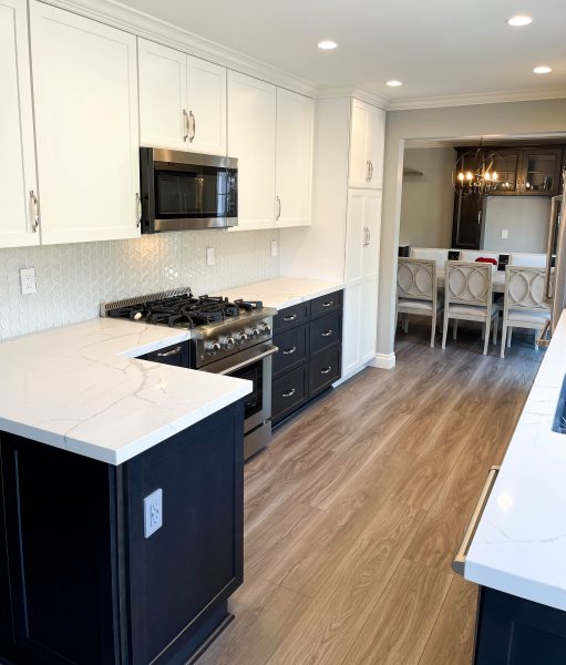 Transitional-kitchen-renovation