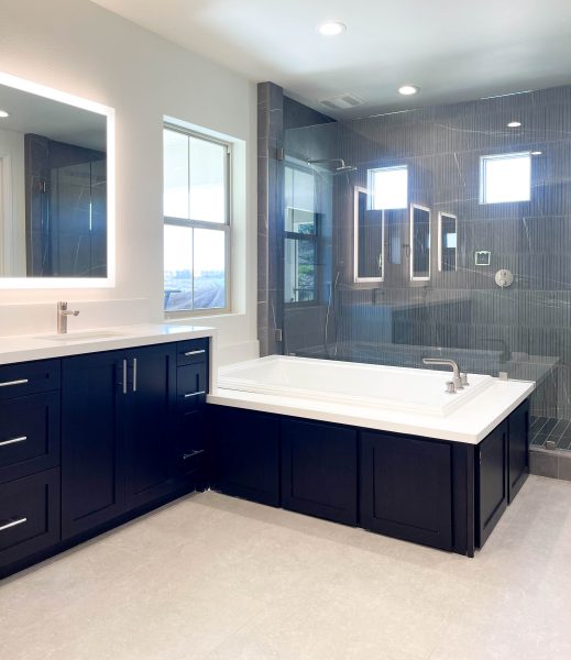Master-bathroom-redesign