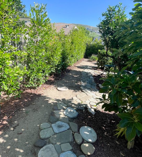 Stepping-Stones-Landscaping