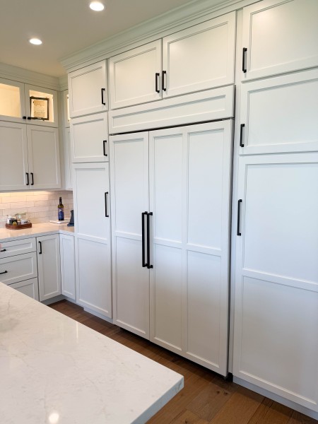 Integrated-Kitchen-Appliances