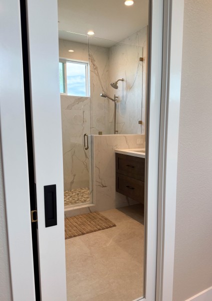 Mirrored-Pocket-Door