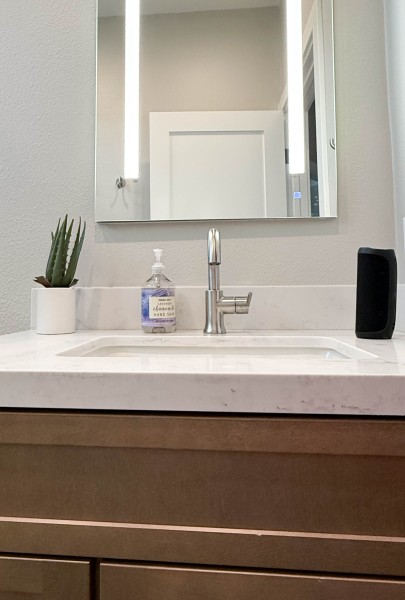 Transitional-Bathroom-Design