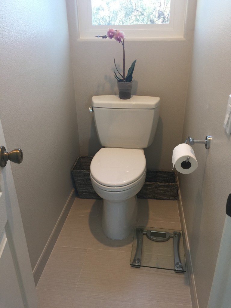 a bathroom remodeler suggests giving the toilet a private space