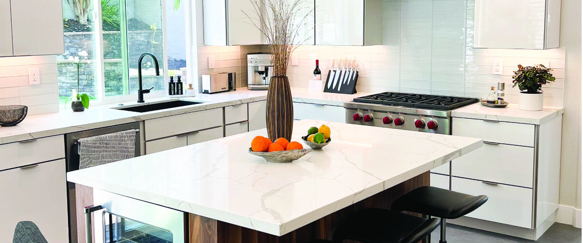 Sleek Modern Kitchen Design